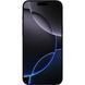 iPhone 16 Pro Max 256GB Black Titanium (MYWV3) MYWV3 фото 2