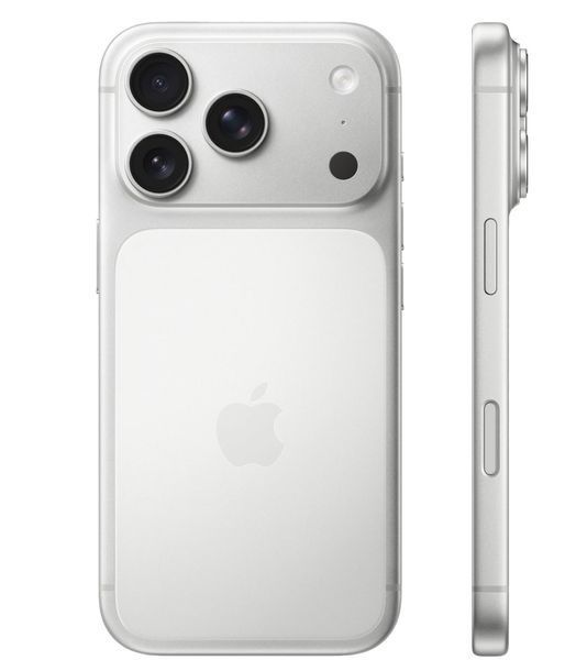 iPhone 17 Pro Max 512GB Silver (MFYQ4) MFYQ4 фото